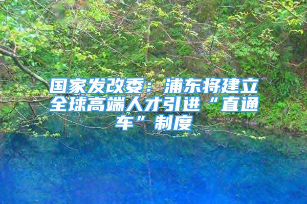 國(guó)家發(fā)改委：浦東將建立全球高端人才引進(jìn)“直通車(chē)”制度