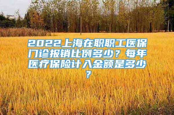 2022上海在職職工醫(yī)保門診報(bào)銷比例多少？每年醫(yī)療保險(xiǎn)計(jì)入金額是多少？