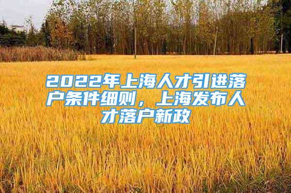 2022年上海人才引進(jìn)落戶條件細(xì)則，上海發(fā)布人才落戶新政