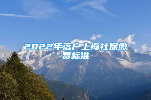 2022年落戶上海社保繳費標準