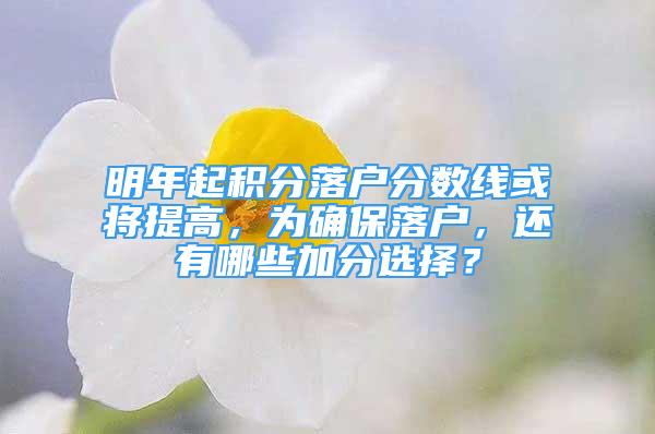 明年起積分落戶分?jǐn)?shù)線或?qū)⑻岣?，為確保落戶，還有哪些加分選擇？