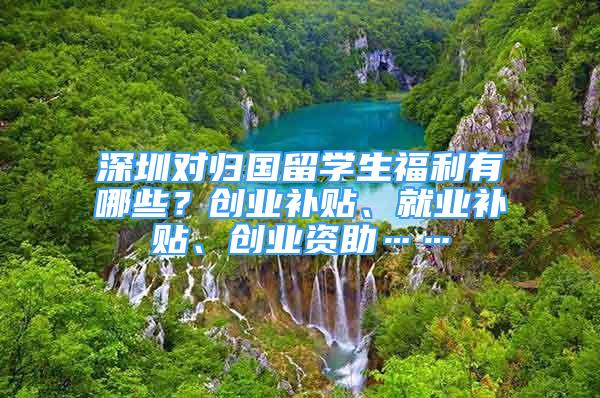 深圳對歸國留學生福利有哪些？創(chuàng)業(yè)補貼、就業(yè)補貼、創(chuàng)業(yè)資助……