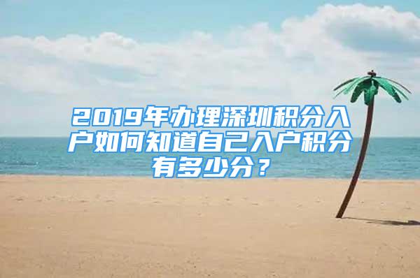 2019年辦理深圳積分入戶如何知道自己入戶積分有多少分？