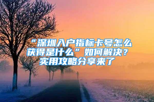 “深圳入戶(hù)指標(biāo)卡號(hào)怎么獲得是什么”如何解決？實(shí)用攻略分享來(lái)了