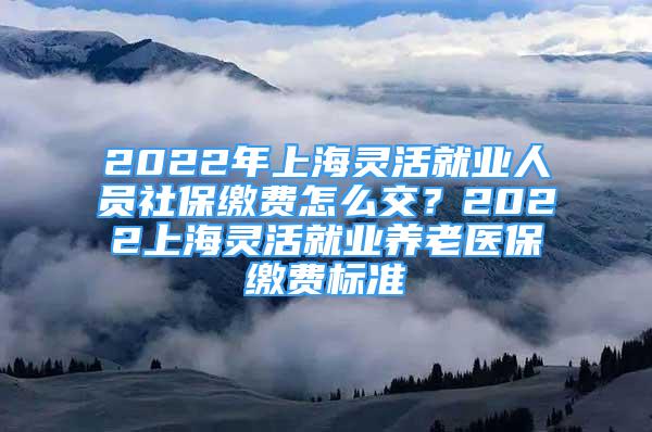 2022年上海靈活就業(yè)人員社保繳費怎么交？2022上海靈活就業(yè)養(yǎng)老醫(yī)保繳費標準