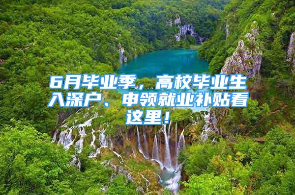 6月畢業(yè)季，高校畢業(yè)生入深戶、申領(lǐng)就業(yè)補(bǔ)貼看這里！