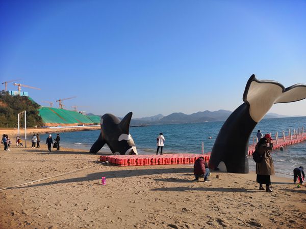 不是深圳戶口的寶寶上幼兒園