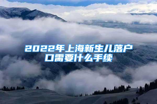 2022年上海新生兒落戶口需要什么手續(xù)