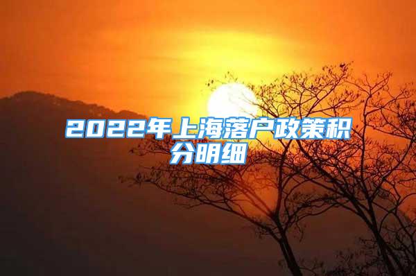 2022年上海落戶政策積分明細(xì)