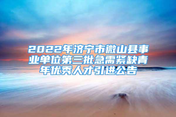 2022年濟寧市微山縣事業(yè)單位第三批急需緊缺青年優(yōu)秀人才引進(jìn)公告