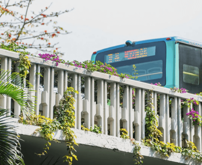 深圳居住證最新申辦流程圖解