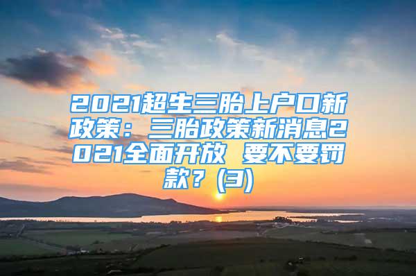 2021超生三胎上戶口新政策：三胎政策新消息2021全面開放 要不要罰款？(3)