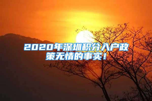 2020年深圳積分入戶政策無情的事實(shí)！