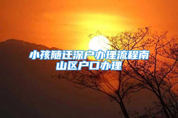 小孩隨遷深戶辦理流程南山區(qū)戶口辦理