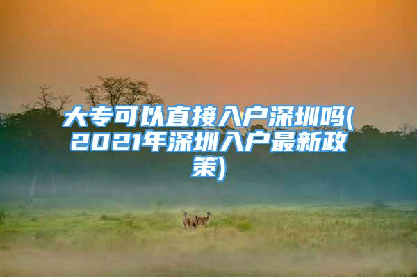 大?？梢灾苯尤霊羯钲趩?2021年深圳入戶最新政策)