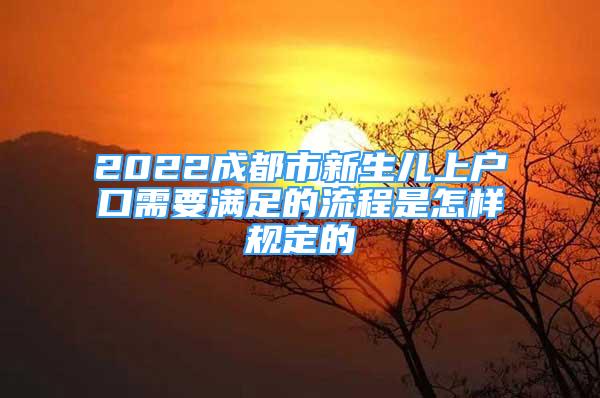 2022成都市新生兒上戶口需要滿足的流程是怎樣規(guī)定的