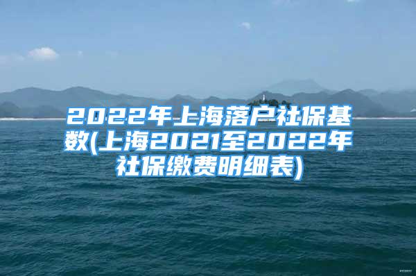 2022年上海落戶社?；鶖?shù)(上海2021至2022年社保繳費明細(xì)表)