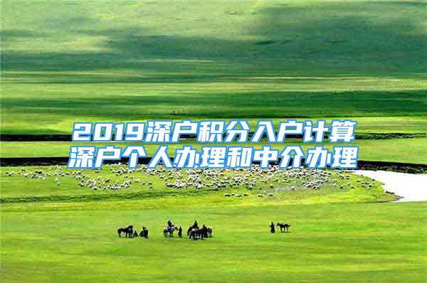 2019深戶積分入戶計(jì)算深戶個(gè)人辦理和中介辦理