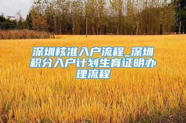 深圳核準入戶流程_深圳積分入戶計劃生育證明辦理流程