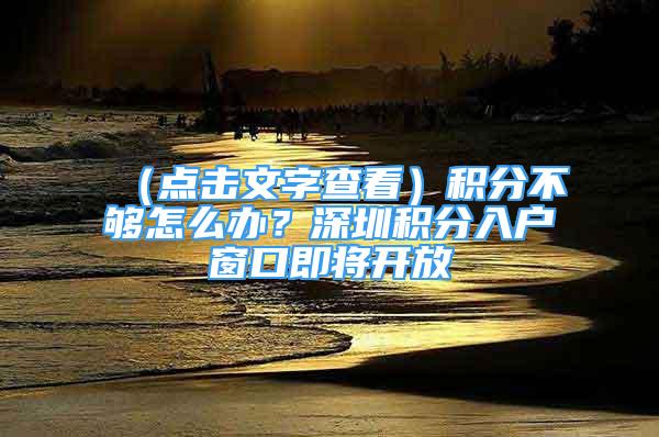 （點擊文字查看）積分不夠怎么辦？深圳積分入戶窗口即將開放