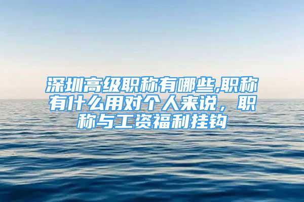 深圳高級職稱有哪些,職稱有什么用對個人來說，職稱與工資福利掛鉤