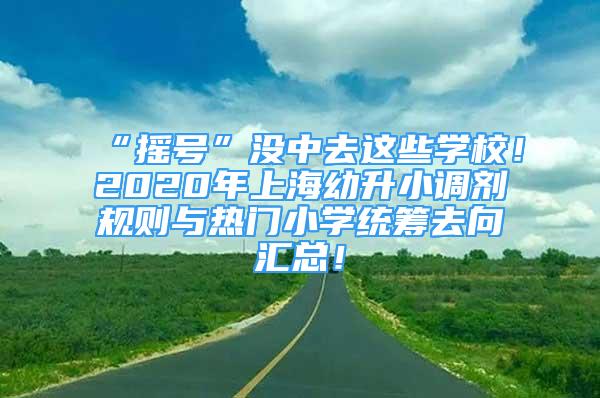 “搖號”沒中去這些學校！2020年上海幼升小調(diào)劑規(guī)則與熱門小學統(tǒng)籌去向匯總！