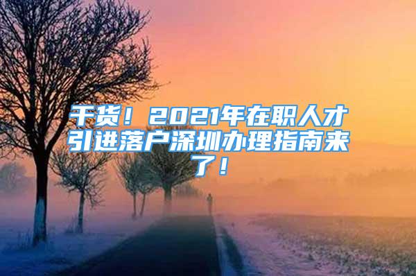 干貨！2021年在職人才引進(jìn)落戶深圳辦理指南來了！