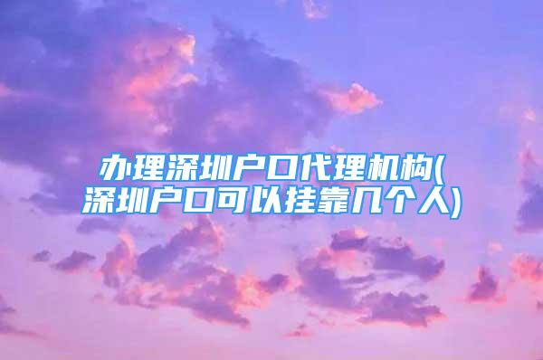 辦理深圳戶口代理機構(深圳戶口可以掛靠幾個人)