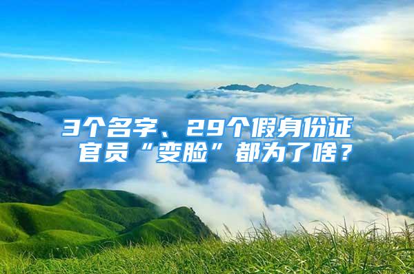 3個(gè)名字、29個(gè)假身份證 官員“變臉”都為了啥？