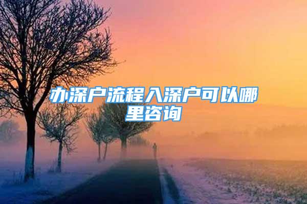 辦深戶流程入深戶可以哪里咨詢