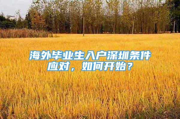 海外畢業(yè)生入戶深圳條件應(yīng)對(duì)，如何開始？