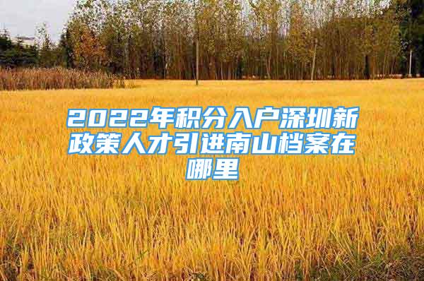 2022年積分入戶深圳新政策人才引進南山檔案在哪里