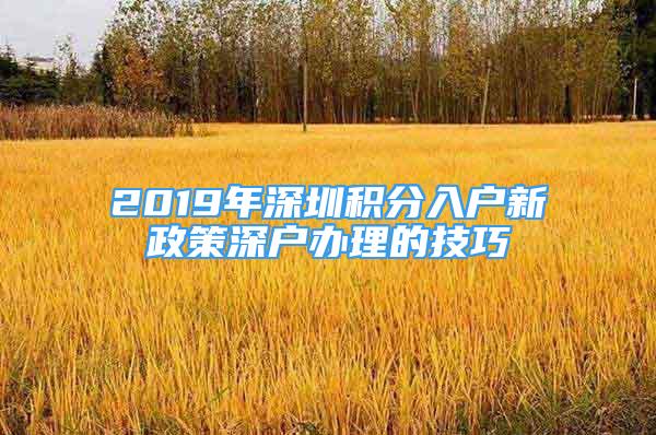 2019年深圳積分入戶新政策深戶辦理的技巧