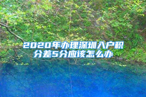 2020年辦理深圳入戶積分差5分應(yīng)該怎么辦