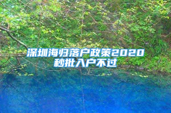 深圳海歸落戶政策2020秒批入戶不過