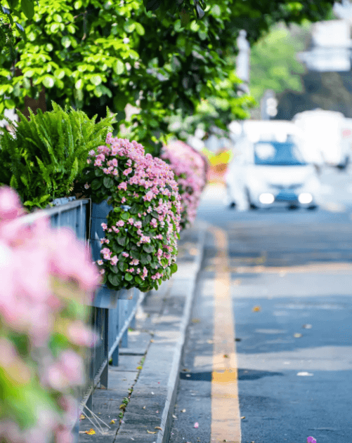 深圳大鵬新區(qū)新引進(jìn)人才配套租房和生活補(bǔ)貼申報(bào)指引