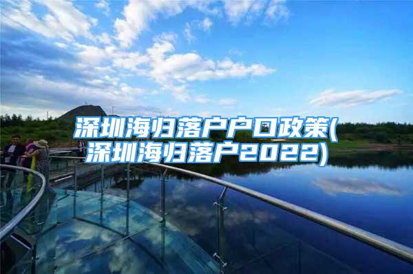 深圳海歸落戶(hù)戶(hù)口政策(深圳海歸落戶(hù)2022)