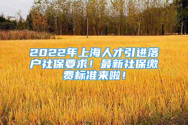 2022年上海人才引進落戶社保要求！最新社保繳費標(biāo)準(zhǔn)來啦！