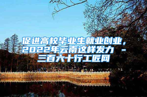 促進(jìn)高校畢業(yè)生就業(yè)創(chuàng)業(yè)，2022年云南這樣發(fā)力→－三百六十行工匠網(wǎng)