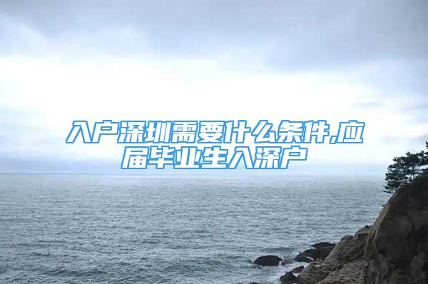 入戶深圳需要什么條件,應屆畢業(yè)生入深戶