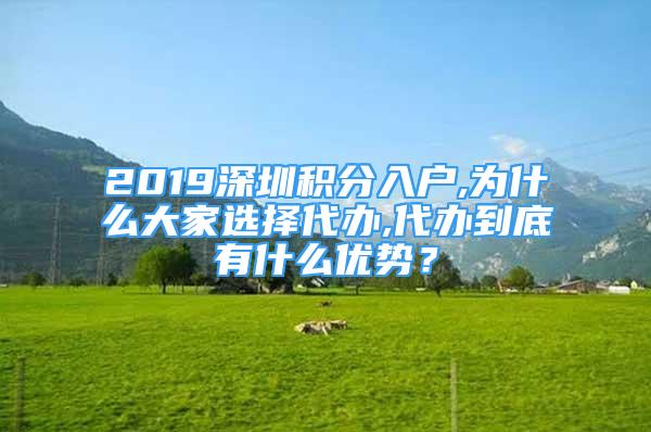 2019深圳積分入戶,為什么大家選擇代辦,代辦到底有什么優(yōu)勢？