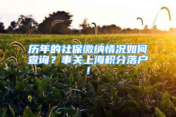 歷年的社保繳納情況如何查詢？事關(guān)上海積分落戶!