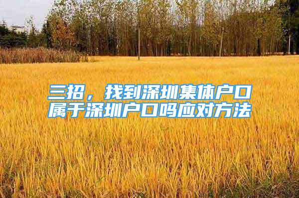 三招，找到深圳集體戶口屬于深圳戶口嗎應(yīng)對方法