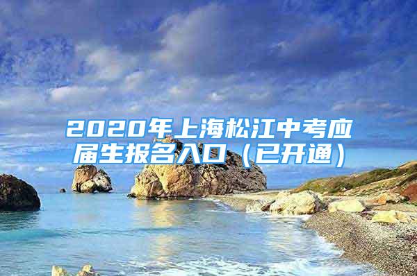 2020年上海松江中考應(yīng)屆生報名入口（已開通）