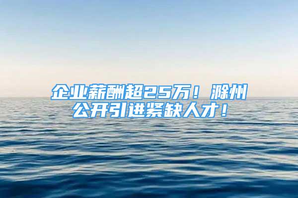 企業(yè)薪酬超25萬！滁州公開引進(jìn)緊缺人才！