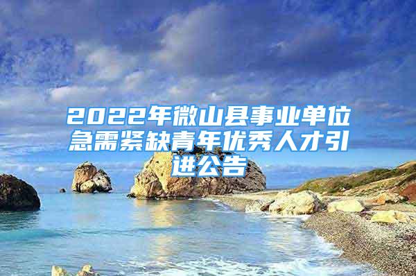 2022年微山縣事業(yè)單位急需緊缺青年優(yōu)秀人才引進(jìn)公告