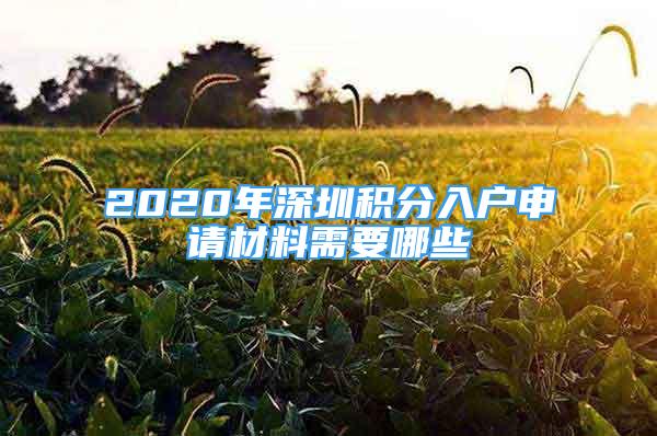 2020年深圳積分入戶(hù)申請(qǐng)材料需要哪些