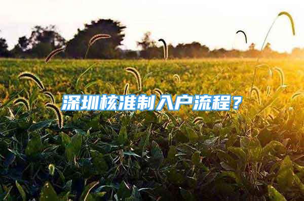 深圳核準(zhǔn)制入戶流程？