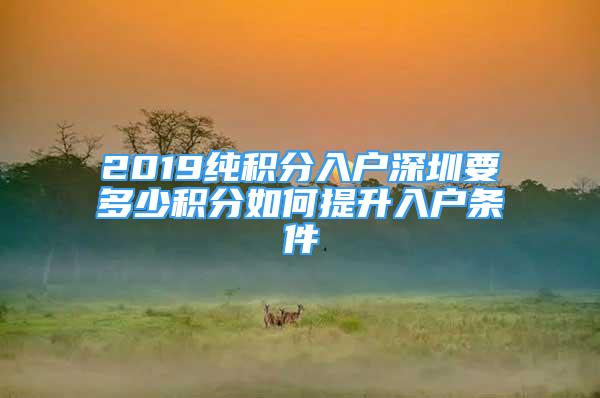 2019純積分入戶深圳要多少積分如何提升入戶條件