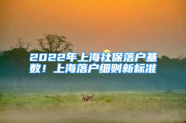 2022年上海社保落戶基數(shù)！上海落戶細(xì)則新標(biāo)準(zhǔn)